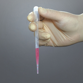 Transfer Pipets
