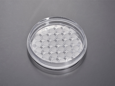 Rounded coverslips for different kinds of experiments and detections can be prepared by one cell culture operation, greatly improving overall efficiency.