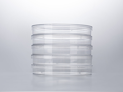 The ring-shaped protrusion of the culture dish  cap enables stable stacking