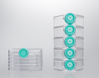 Same surface area, providing  larger cell culture space