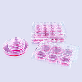 Poly-D-Lysine-coated Products