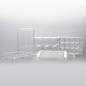 Cell and Tissue Culture Plates