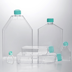 Cell and Tissue Culture Flasks
