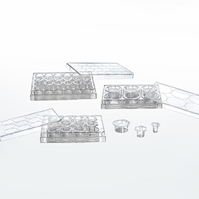 Tissue Culture Plate Inserts