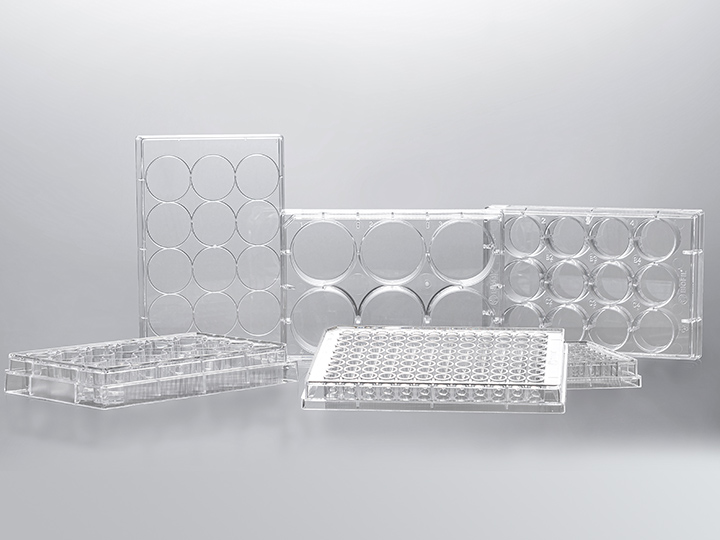 thumbnail image 2 of GenClone® Cell Culture Dishes - Genesee Scientific 2 of 14