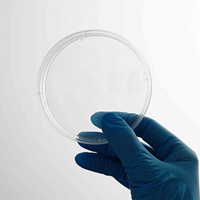 CellDETACH<sup>™</sup> Temperature-Responsive Cell Culture Surface