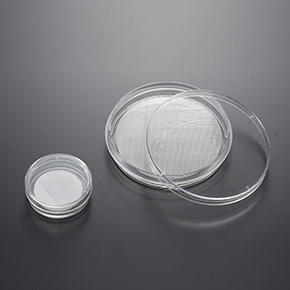 CellSCAFLD<sup>®</sup> 3D Cell Culture Scaffolds