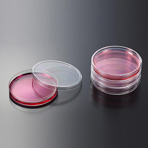Petri Dishes
