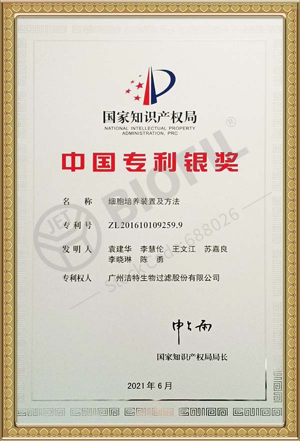 Sliver China Patent Award