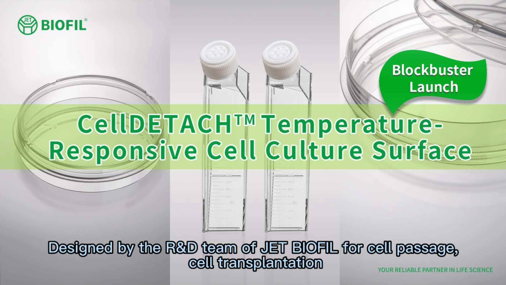 CellDETACH<sup>™</sup> Temperature-Responsive Cell Culture Surface