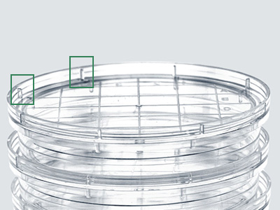Plate bottom features multiple reinforcing ribs and a support ring