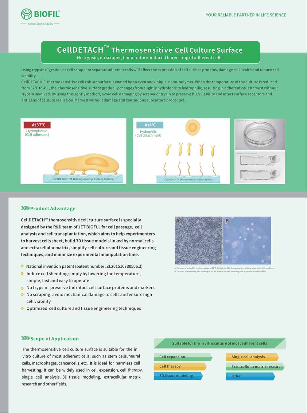 CellDETACH<sup>™</sup> Temperature-Responsive Cell Culture Surface