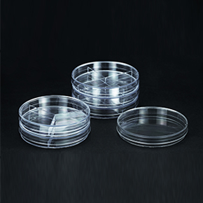 Partitioned Petri Dishes