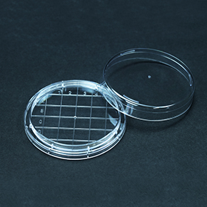 Contact Plate