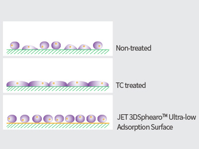 The Ultra-low Adsorption Surface has a covalently bonded hydrogel layer with extremely strong anti-protein adsorption and anti-cell attachment