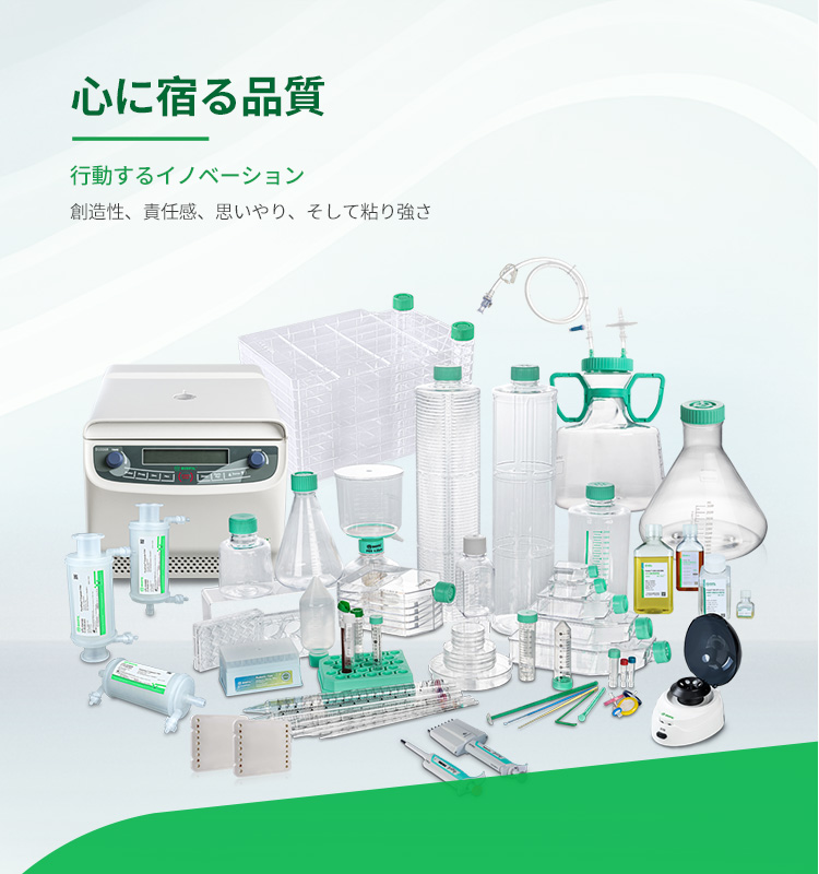 质量为本