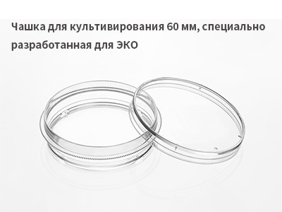 Цель: сбор яйцеклеток, промывание и расщепление гранулярных клеток вне яйцеклетки; замораживание / размораживание эмбрионов