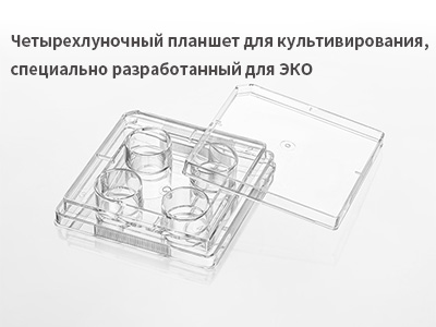 Цель: замораживание и восстановление эмбрионов и культивирование эмбрионов in vitro