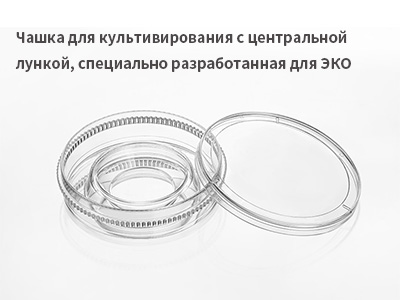 Цель: размораживание замороженных эмбрионов для восстановления их биологической активности; культивирование эмбрионов in vitro