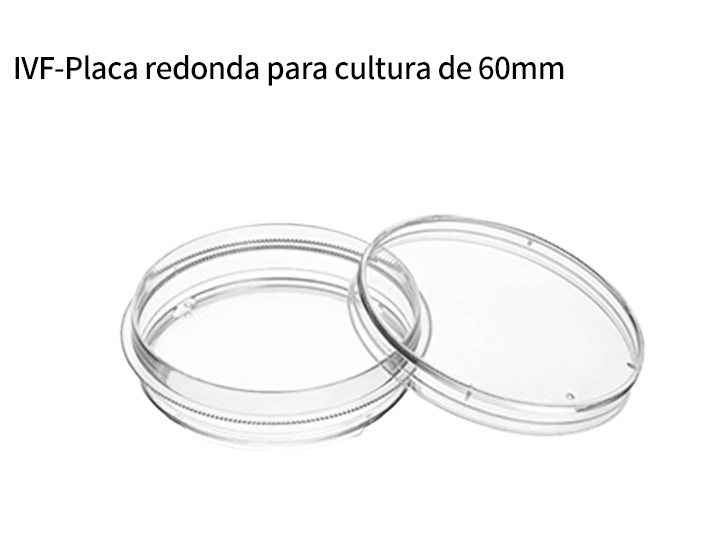 Coleta de óvulos, lavagem e digestão de células granulares fora do óvulo; congelamento/descongelamento de embriões